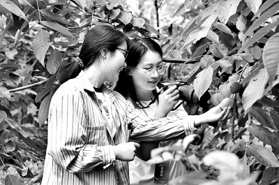 教育评价多维,学生成长多样 PA电子