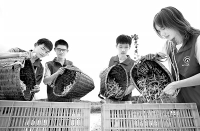 教育评价多维,学生成长多样 PA电子